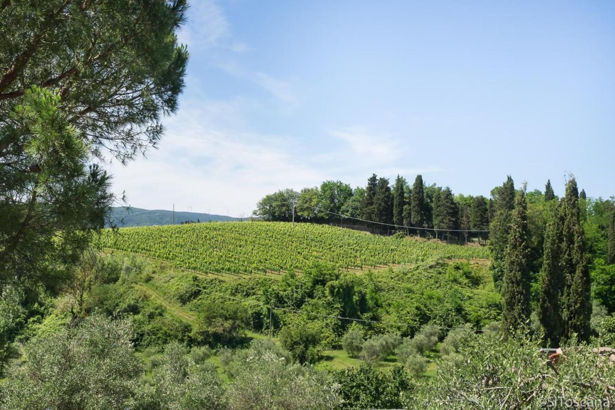 Agriturismo Terre Di Toscana 테리치올라 외부 사진