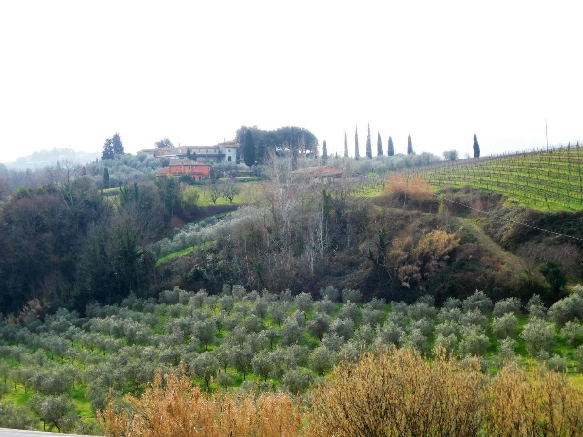Agriturismo Terre Di Toscana 테리치올라 외부 사진